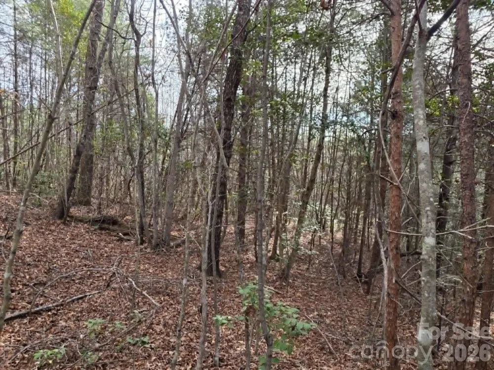 Lot 6 Kerlee Lane Old Fort, NC 28762