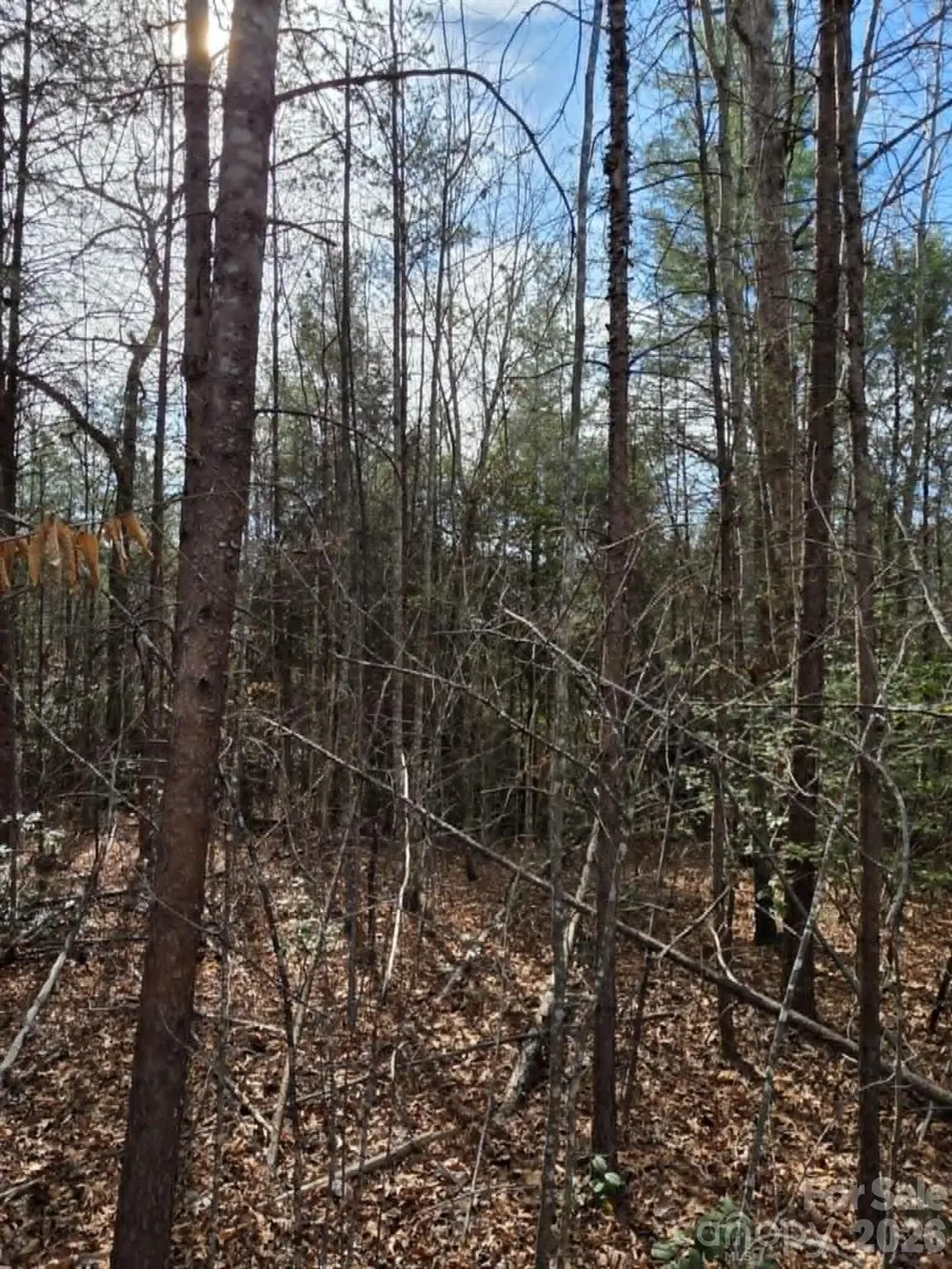 Lot 6 Kerlee Lane Old Fort, NC 28762