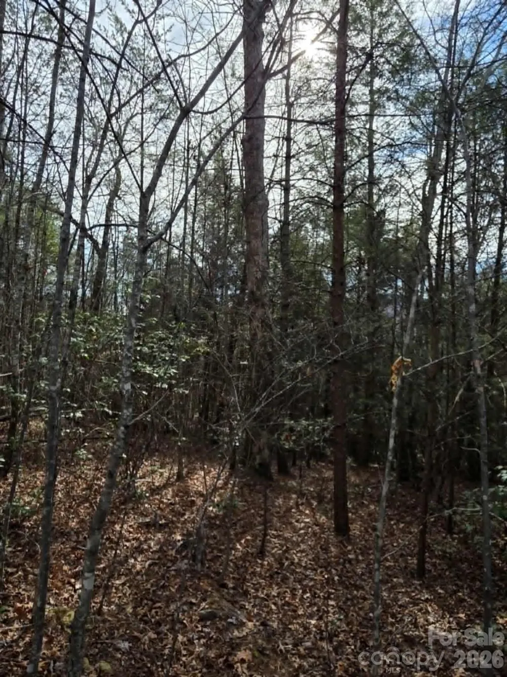 Lot 6 Kerlee Lane Old Fort, NC 28762