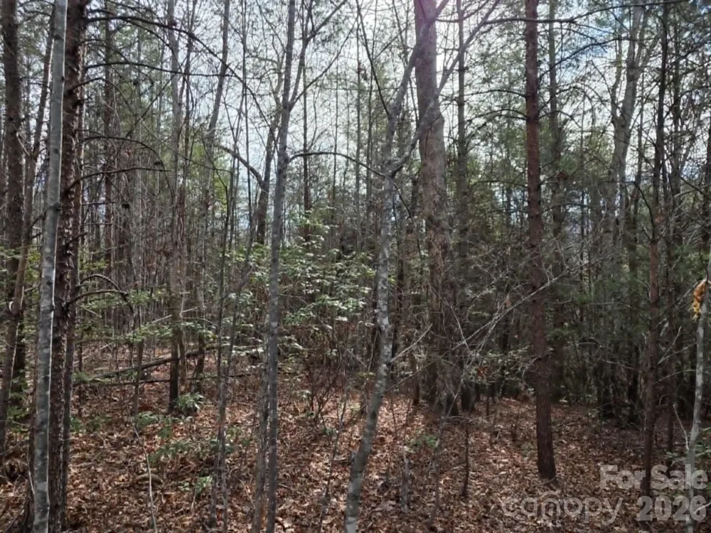 Lot 6 Kerlee Lane Old Fort, NC 28762