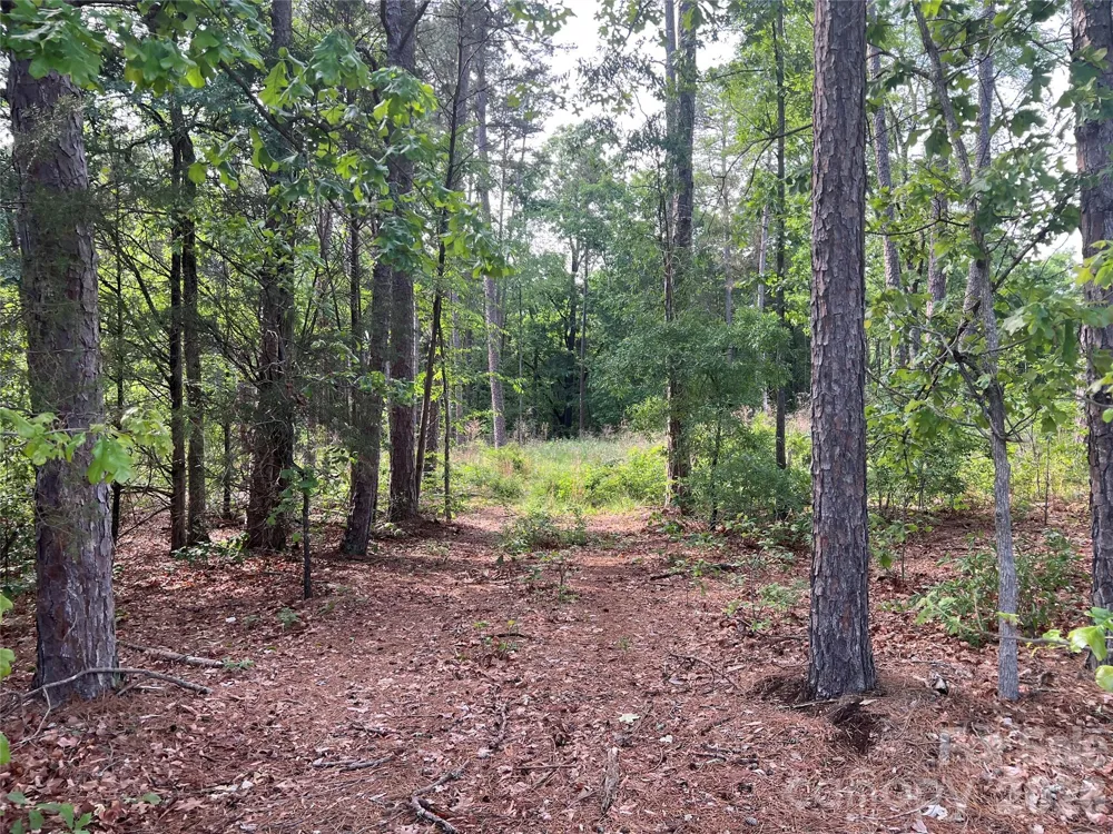 5620 Barrier Georgeville Road Mount Pleasant, NC 28124