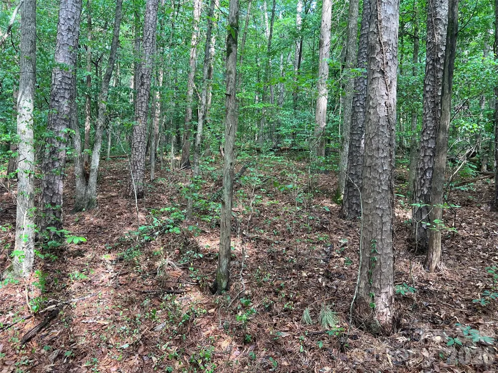5620 Barrier Georgeville Road Mount Pleasant, NC 28124