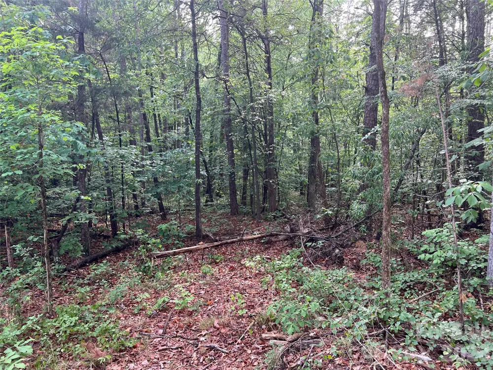 5620 Barrier Georgeville Road Mount Pleasant, NC 28124
