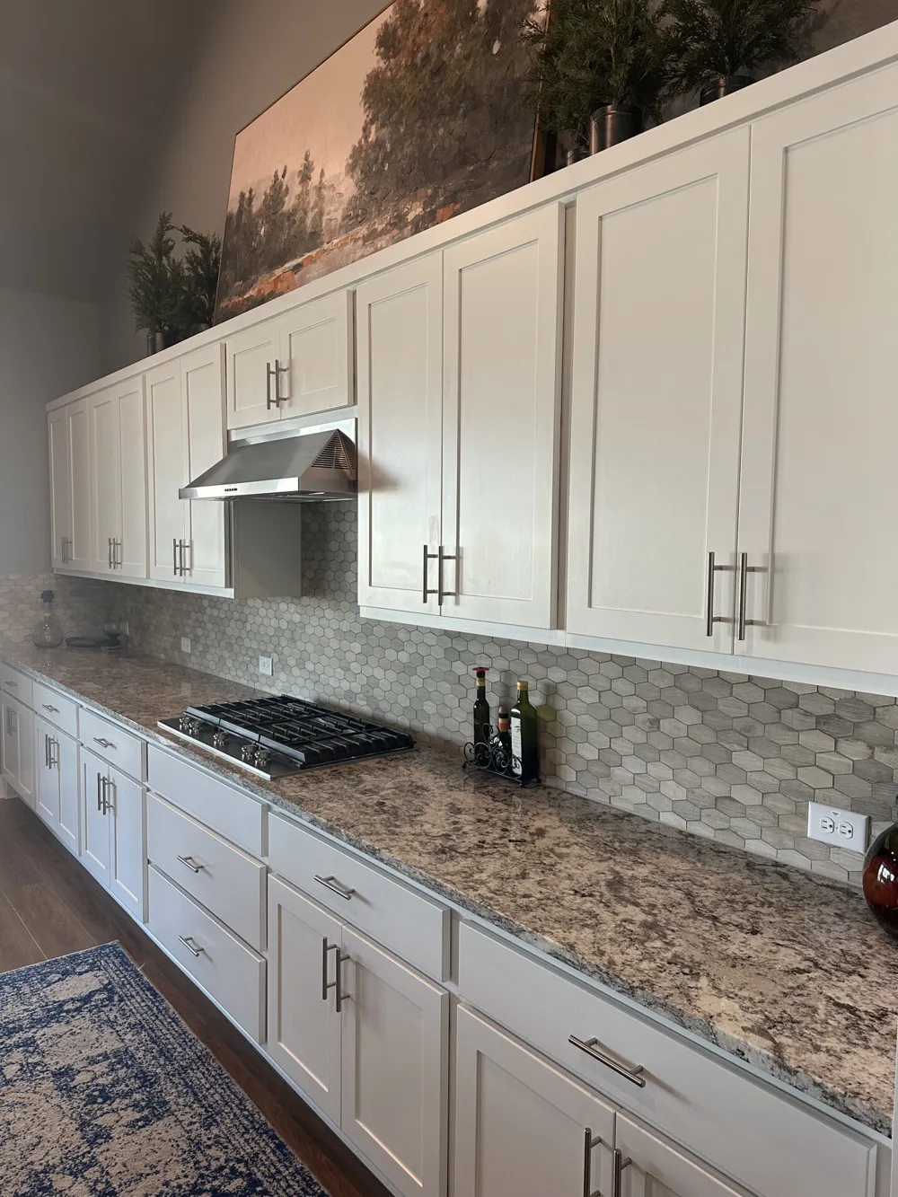 401 Brena Cove Liberty Hill, TX 78642