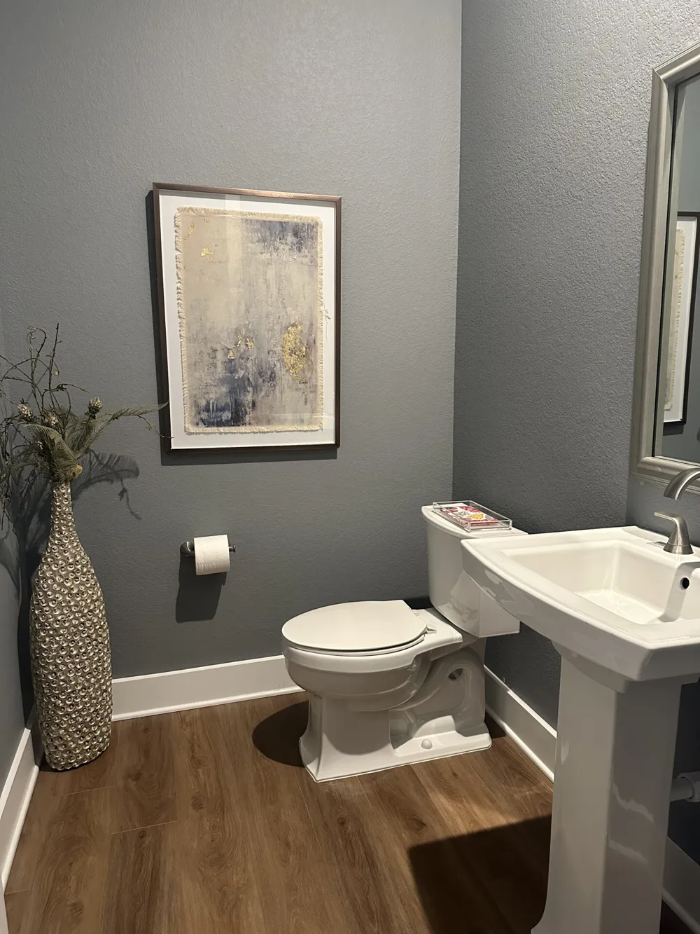 401 Brena Cove Liberty Hill, TX 78642