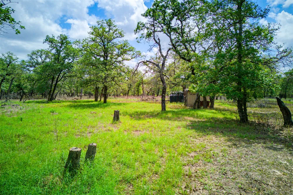 501 Turkey Tree Trail Seguin, TX 78155