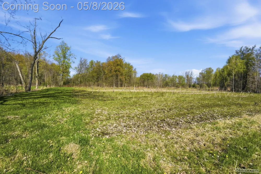 2905 S Plain Road Wells Township, MI 48723