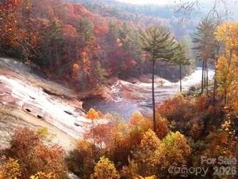 78 Upper Tanglewood Road #6 Lake Toxaway, NC 28747