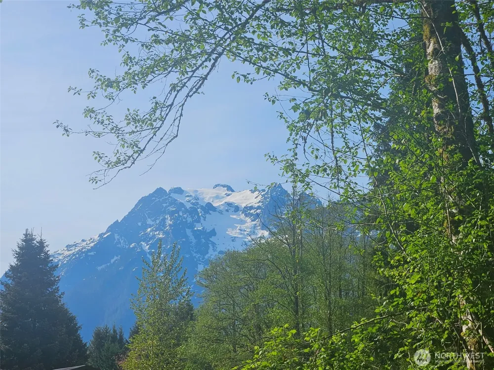 31511 367th Avenue NE Arlington, WA 98223
