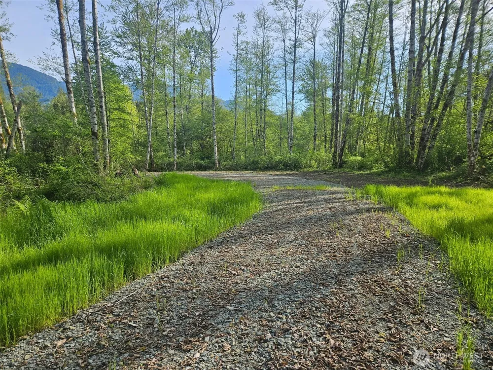 31511 367th Avenue NE Arlington, WA 98223