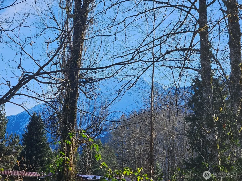 31511 367th Avenue NE Arlington, WA 98223
