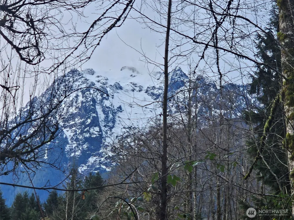 31511 367th Avenue NE Arlington, WA 98223