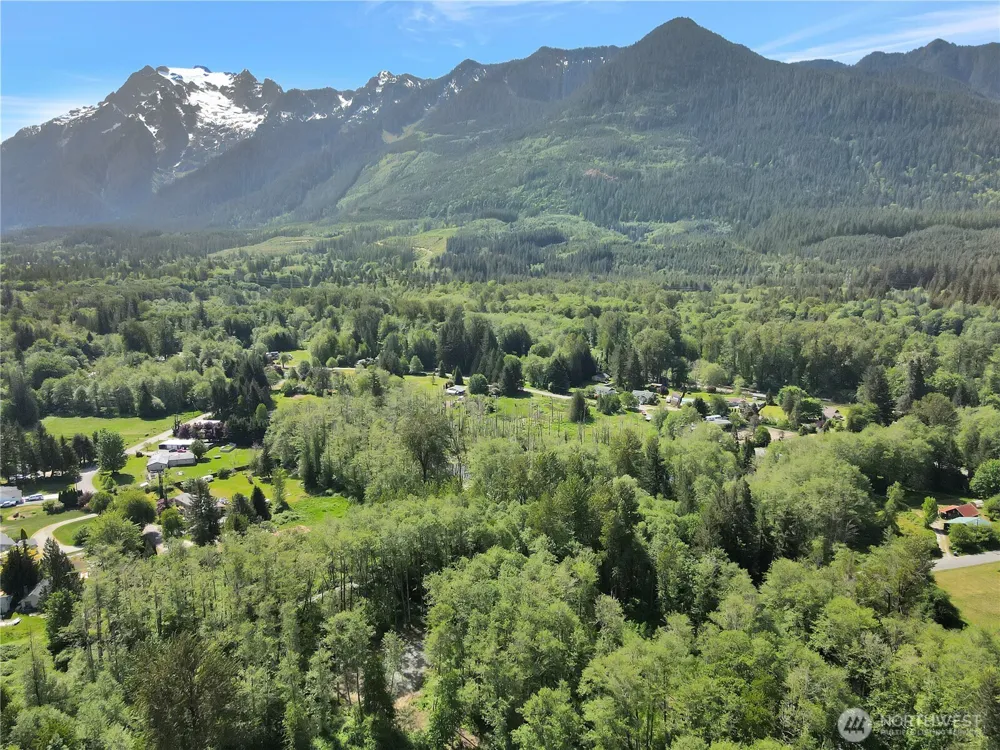 31511 367th Avenue NE Arlington, WA 98223