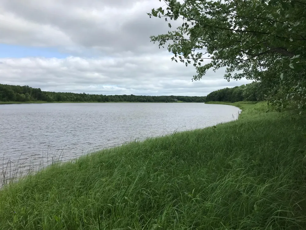10507 Highway 11 Baudette, MN 56623