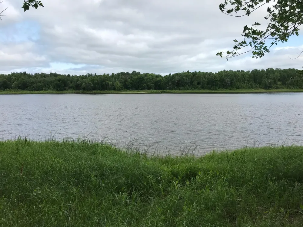 10507 Highway 11 Baudette, MN 56623
