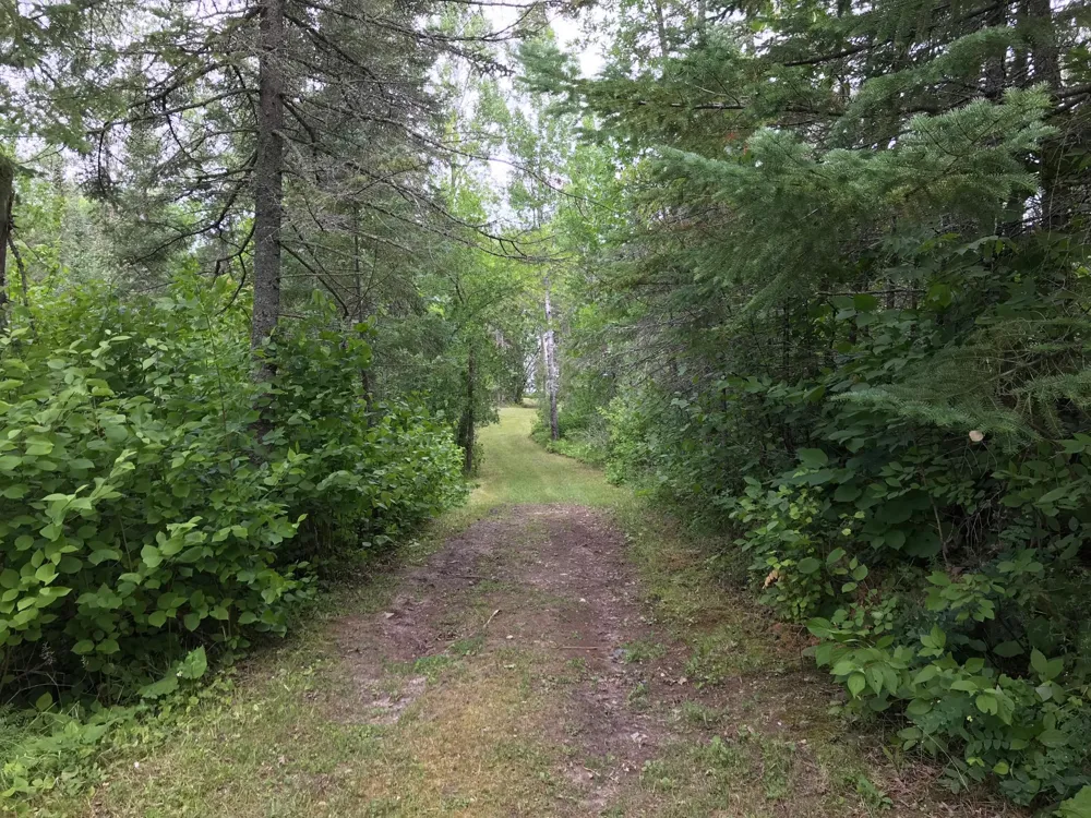 10507 Highway 11 Baudette, MN 56623
