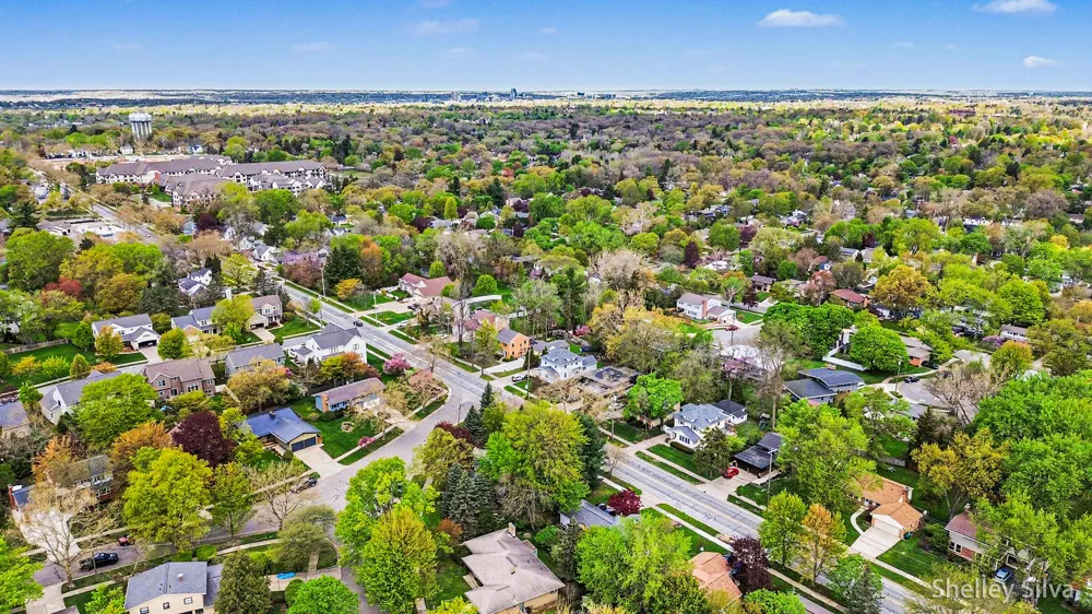 2217 Boston Street SE East Grand Rapids City, MI 49506