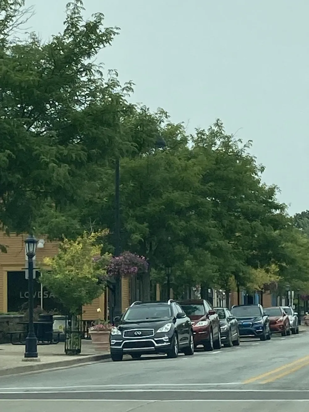 2217 Boston Street SE East Grand Rapids City, MI 49506