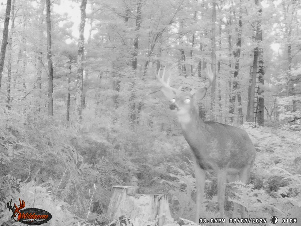 20179 Coates Highway Dickson Township, MI 49619