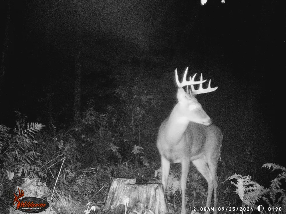 20179 Coates Highway Dickson Township, MI 49619