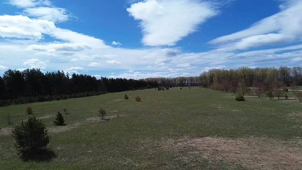 Kyle Drive Excelsior Township, MI 49646