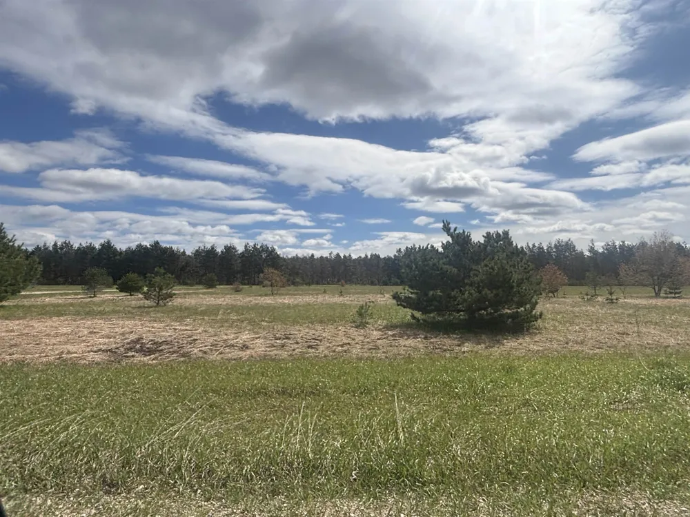 Kyle Drive Excelsior Township, MI 49646