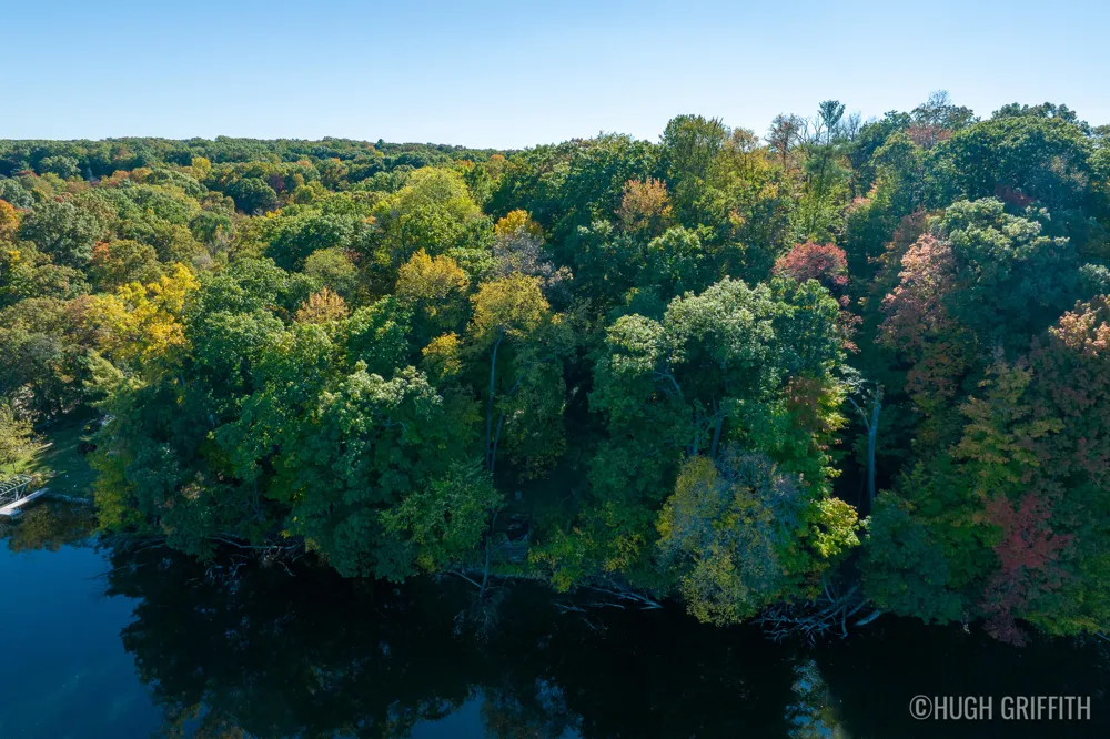 6811 Burger Drive SE Cascade Charter Township, MI 49546