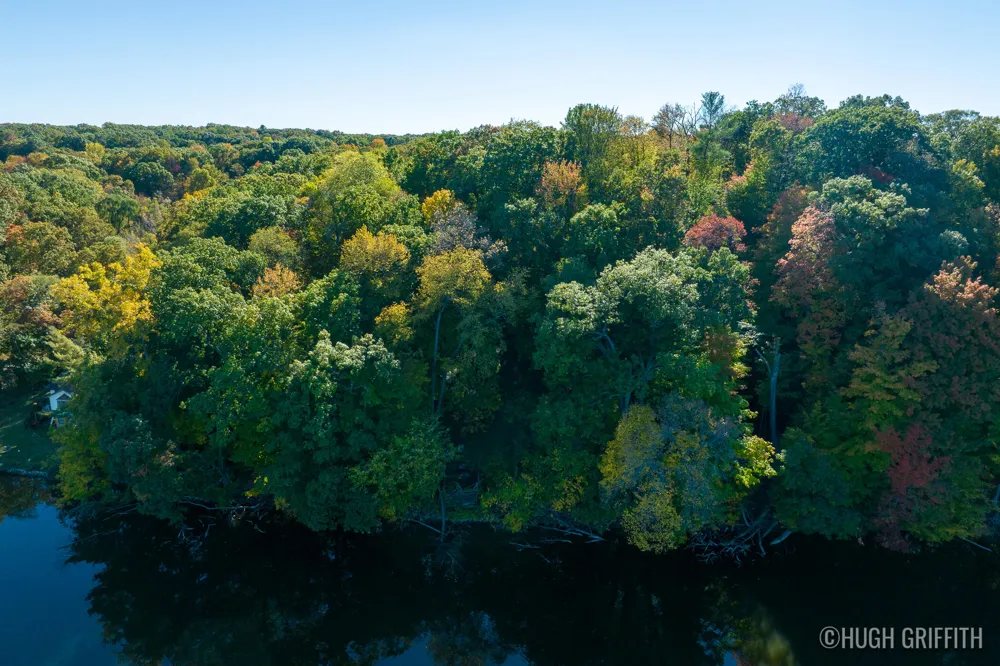 6811 Burger Drive SE Cascade Charter Township, MI 49546