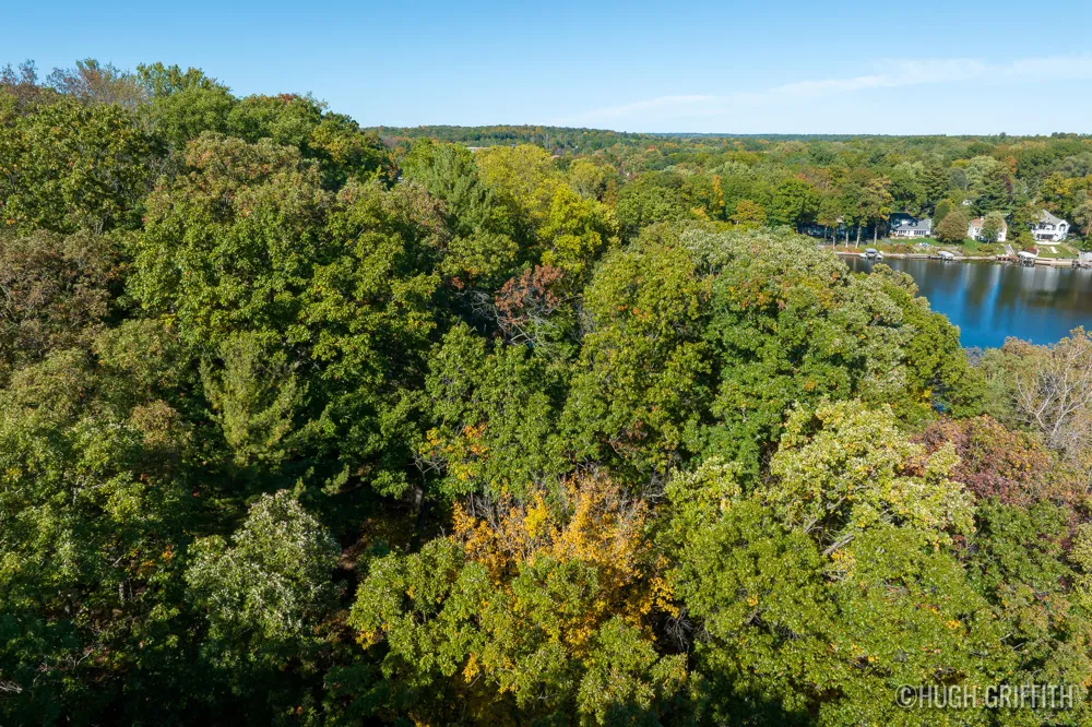6811 Burger Drive SE Cascade Charter Township, MI 49546