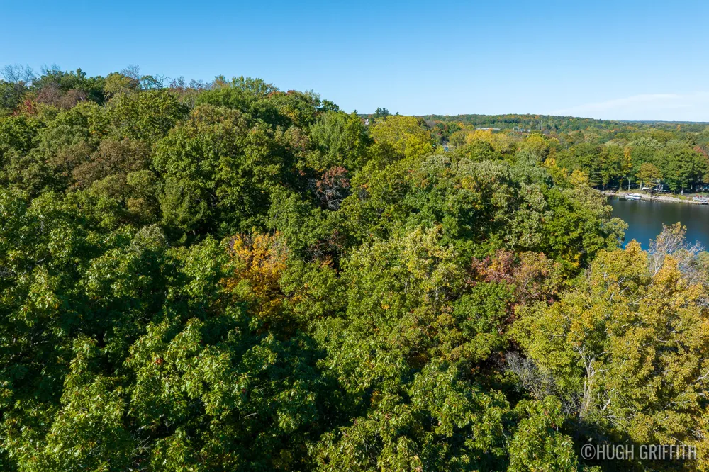 6811 Burger Drive SE Cascade Charter Township, MI 49546