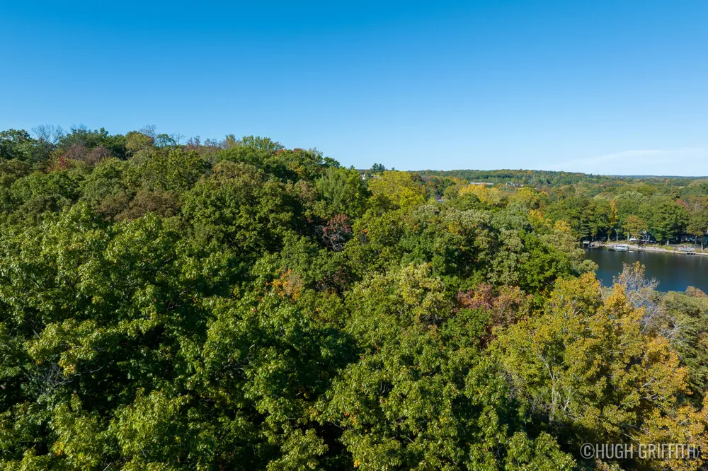 6811 Burger Drive SE Cascade Charter Township, MI 49546