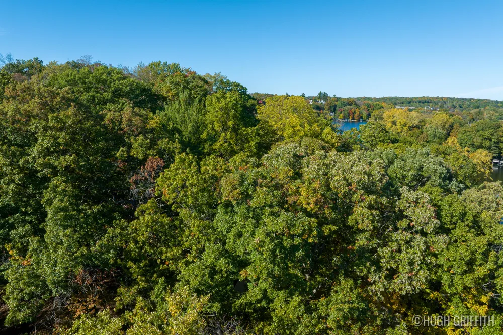 6811 Burger Drive SE Cascade Charter Township, MI 49546