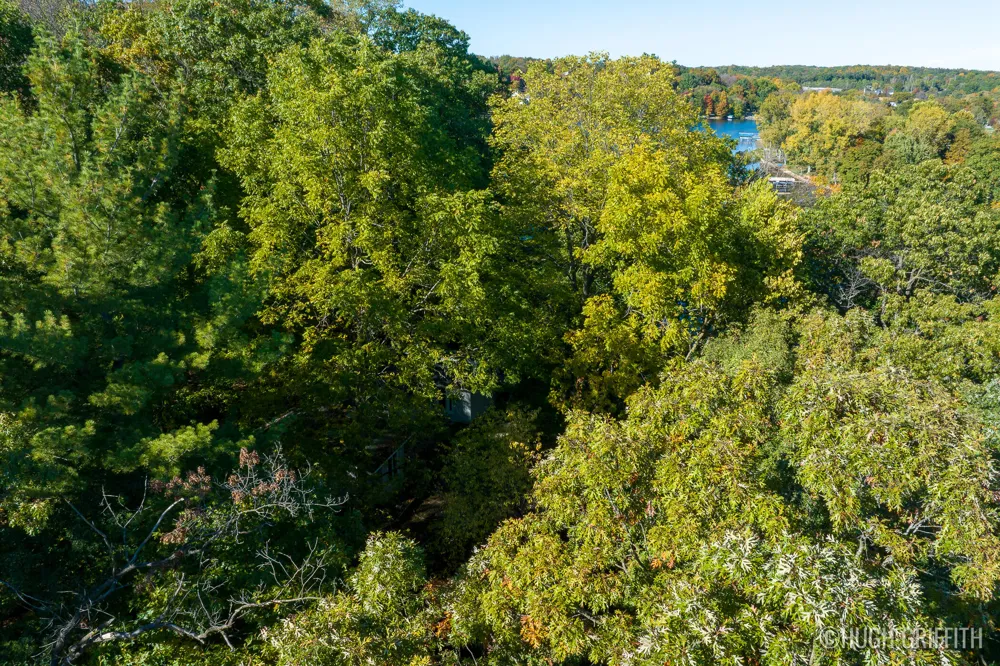 6811 Burger Drive SE Cascade Charter Township, MI 49546