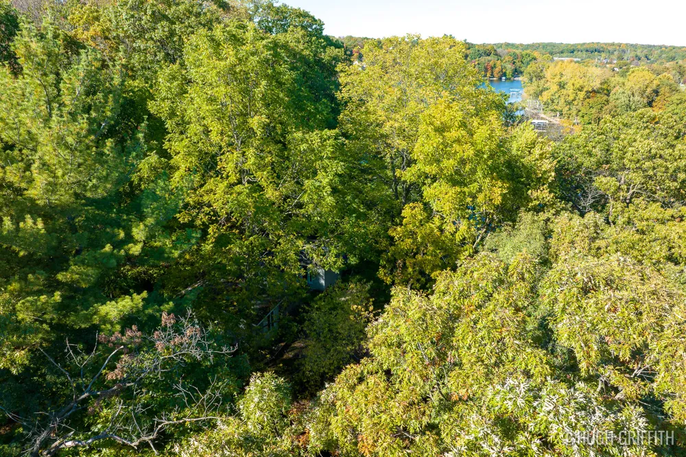 6811 Burger Drive SE Cascade Charter Township, MI 49546