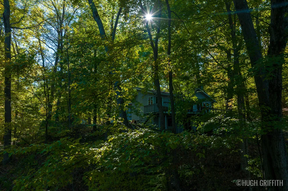 6811 Burger Drive SE Cascade Charter Township, MI 49546