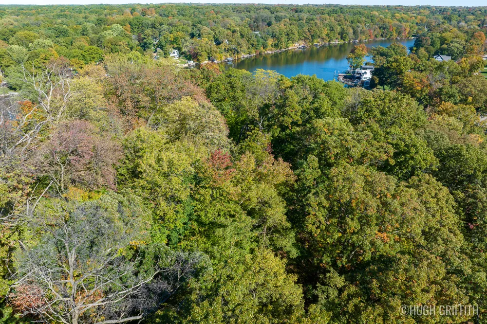 6811 Burger Drive SE Cascade Charter Township, MI 49546
