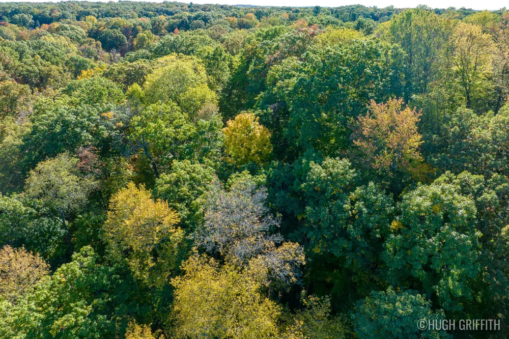 6811 Burger Drive SE Cascade Charter Township, MI 49546