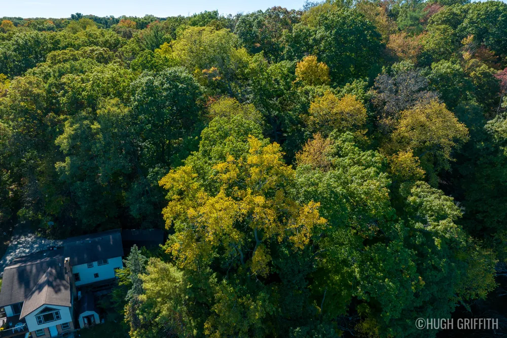 6811 Burger Drive SE Cascade Charter Township, MI 49546