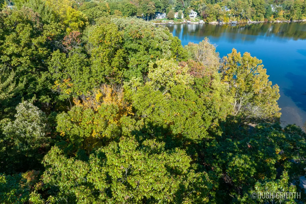 6811 Burger Drive SE Cascade Charter Township, MI 49546