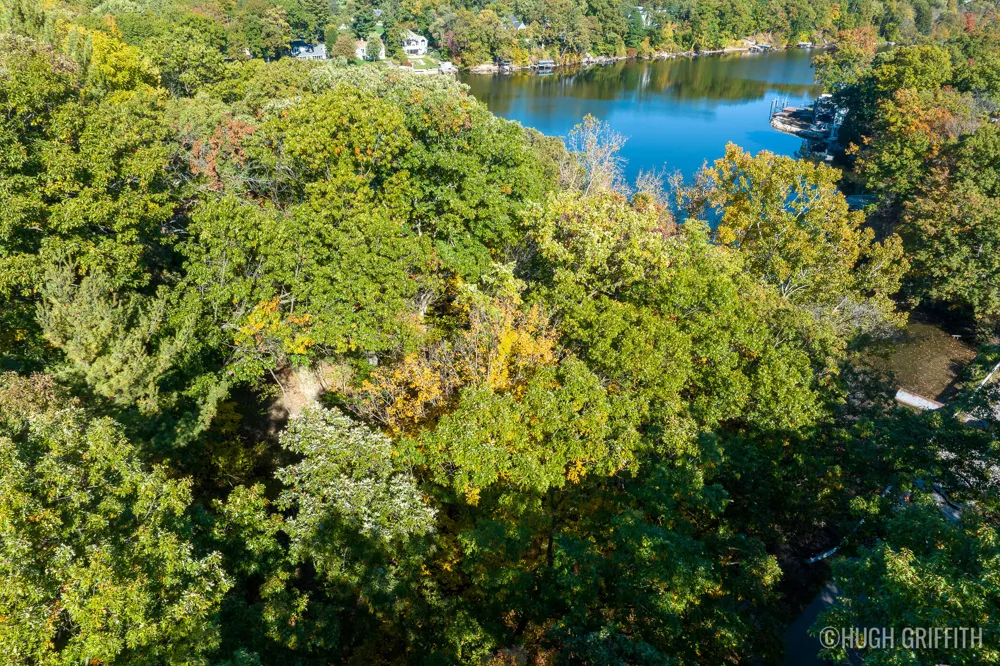 6811 Burger Drive SE Cascade Charter Township, MI 49546