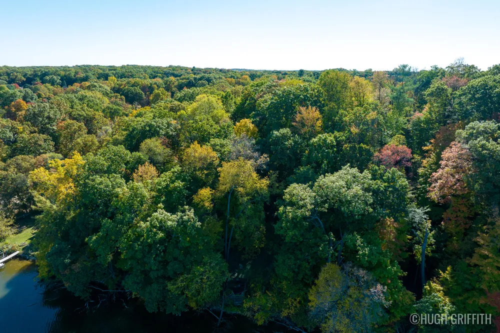 6811 Burger Drive SE Cascade Charter Township, MI 49546