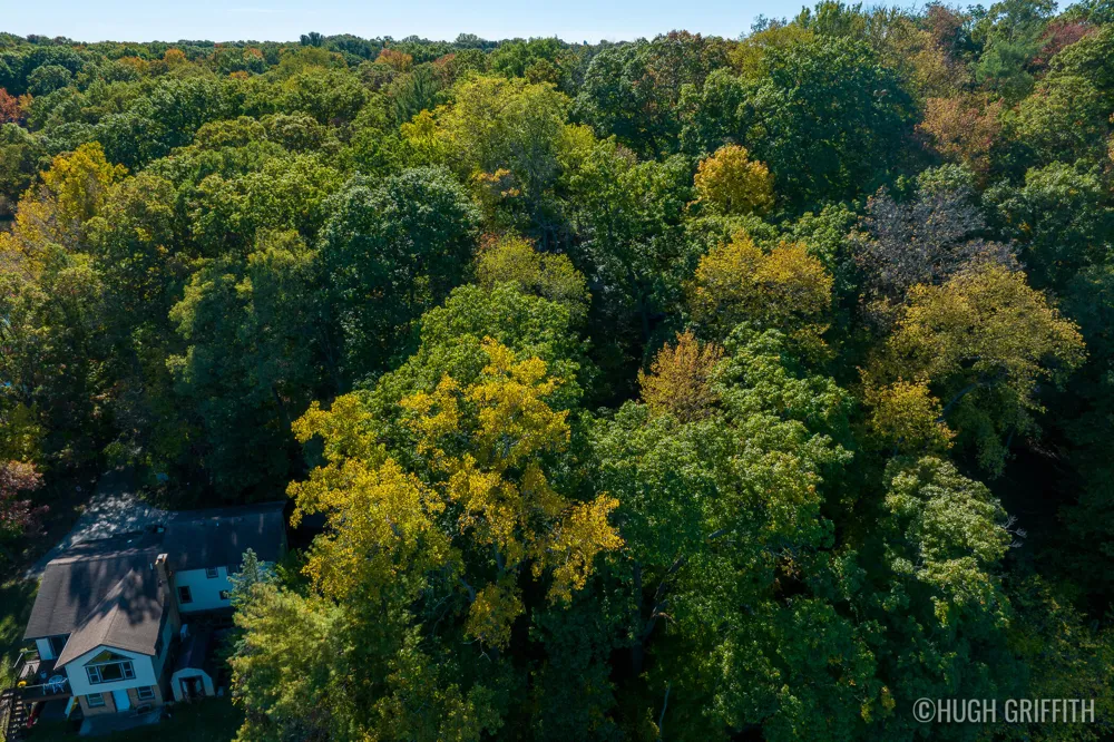 6811 Burger Drive SE Cascade Charter Township, MI 49546