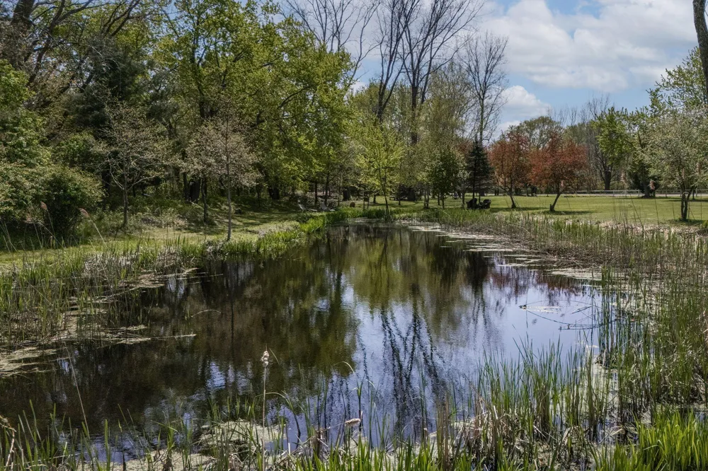 11971 S Hildebrandt Road Chikaming Township, MI 49125