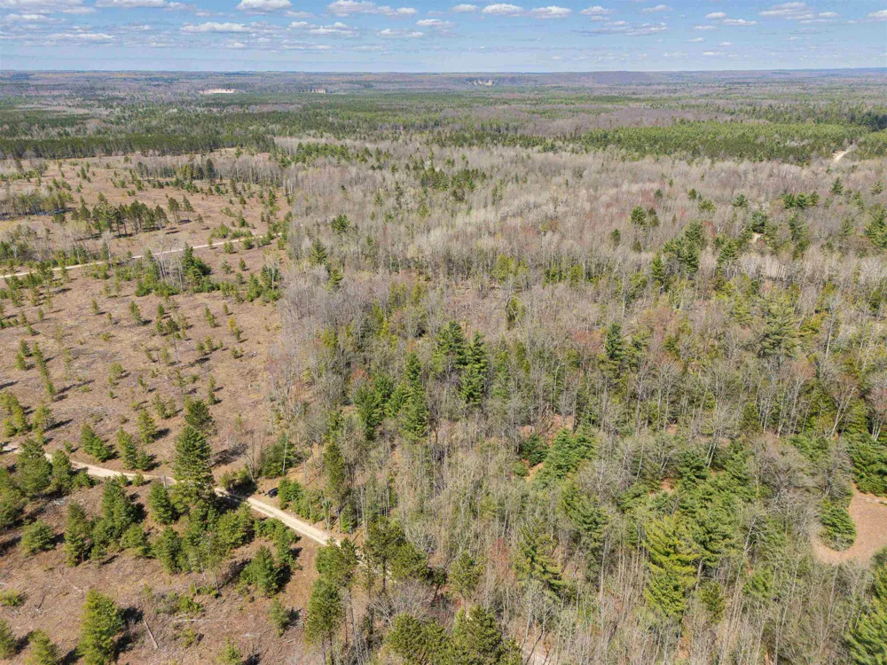 Kolarvic Road Greenwood Township, MI 49663