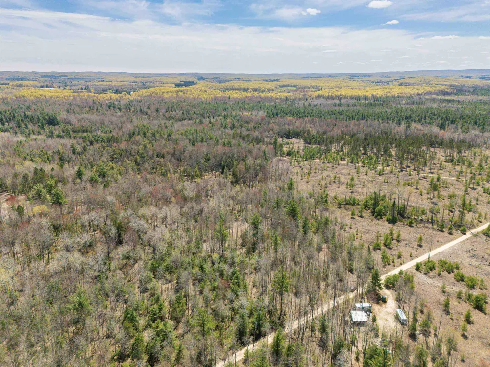 Kolarvic Road Greenwood Township, MI 49663