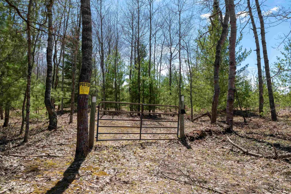 Kolarvic Road Greenwood Township, MI 49663