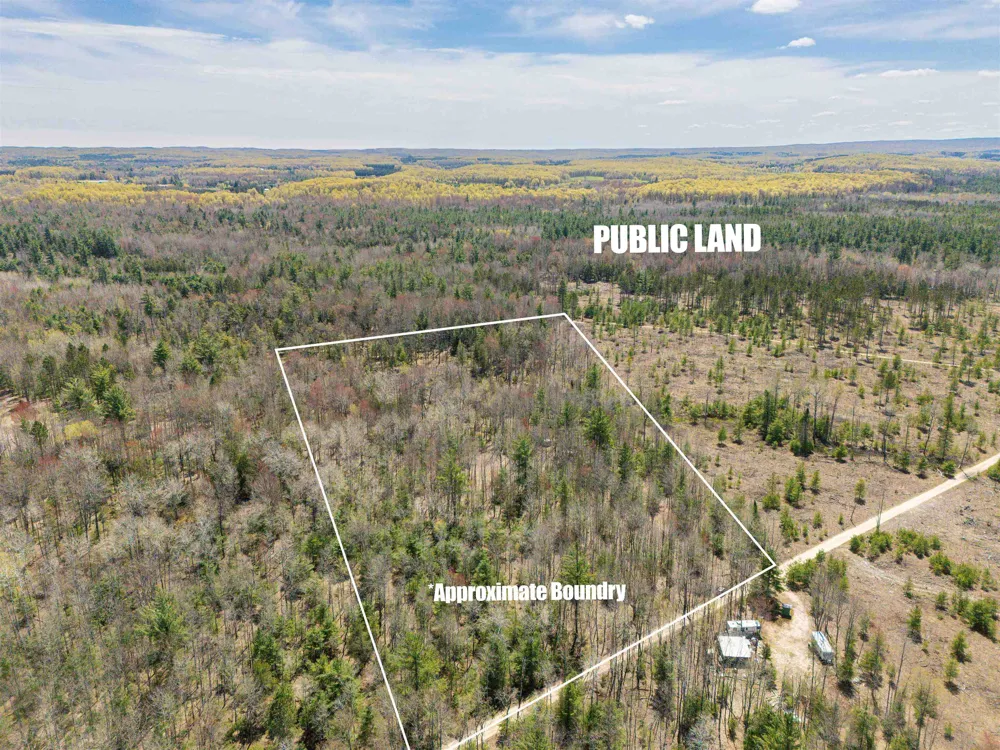 Kolarvic Road Greenwood Township, MI 49663