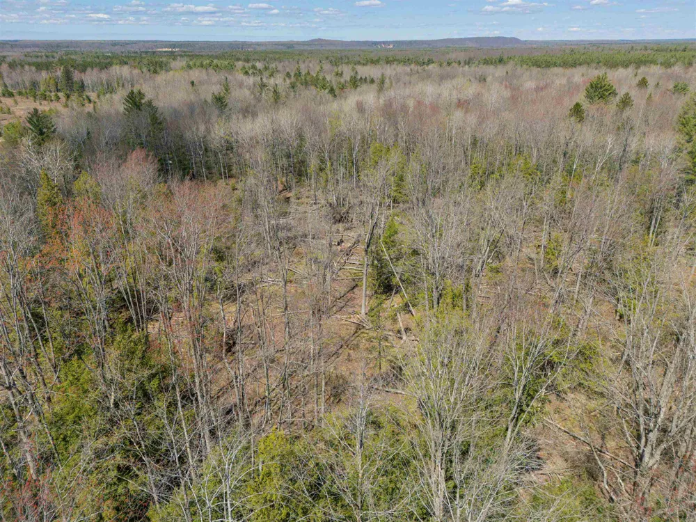 Kolarvic Road Greenwood Township, MI 49663