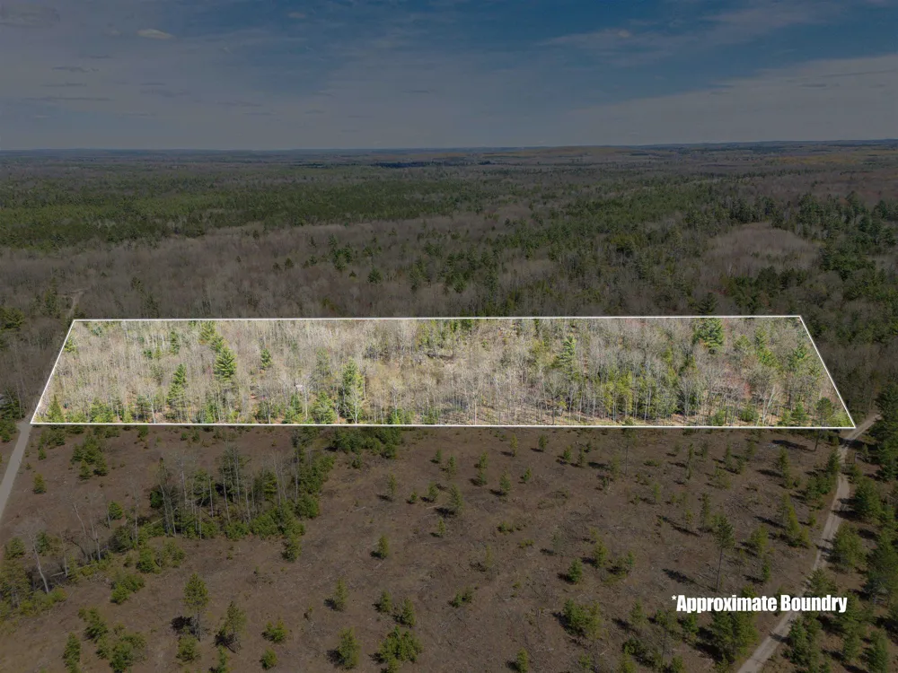 Kolarvic Road Greenwood Township, MI 49663