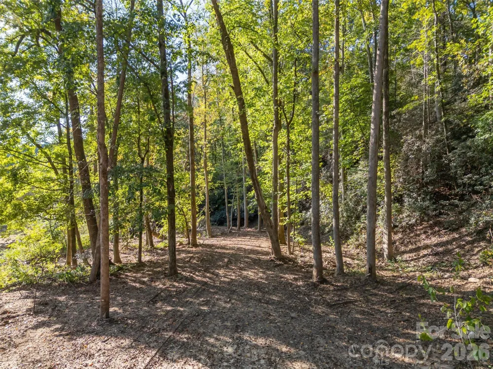 0 Firefly Cove #9 Lake Lure, NC 28746